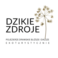 dzikiezdroje.pl