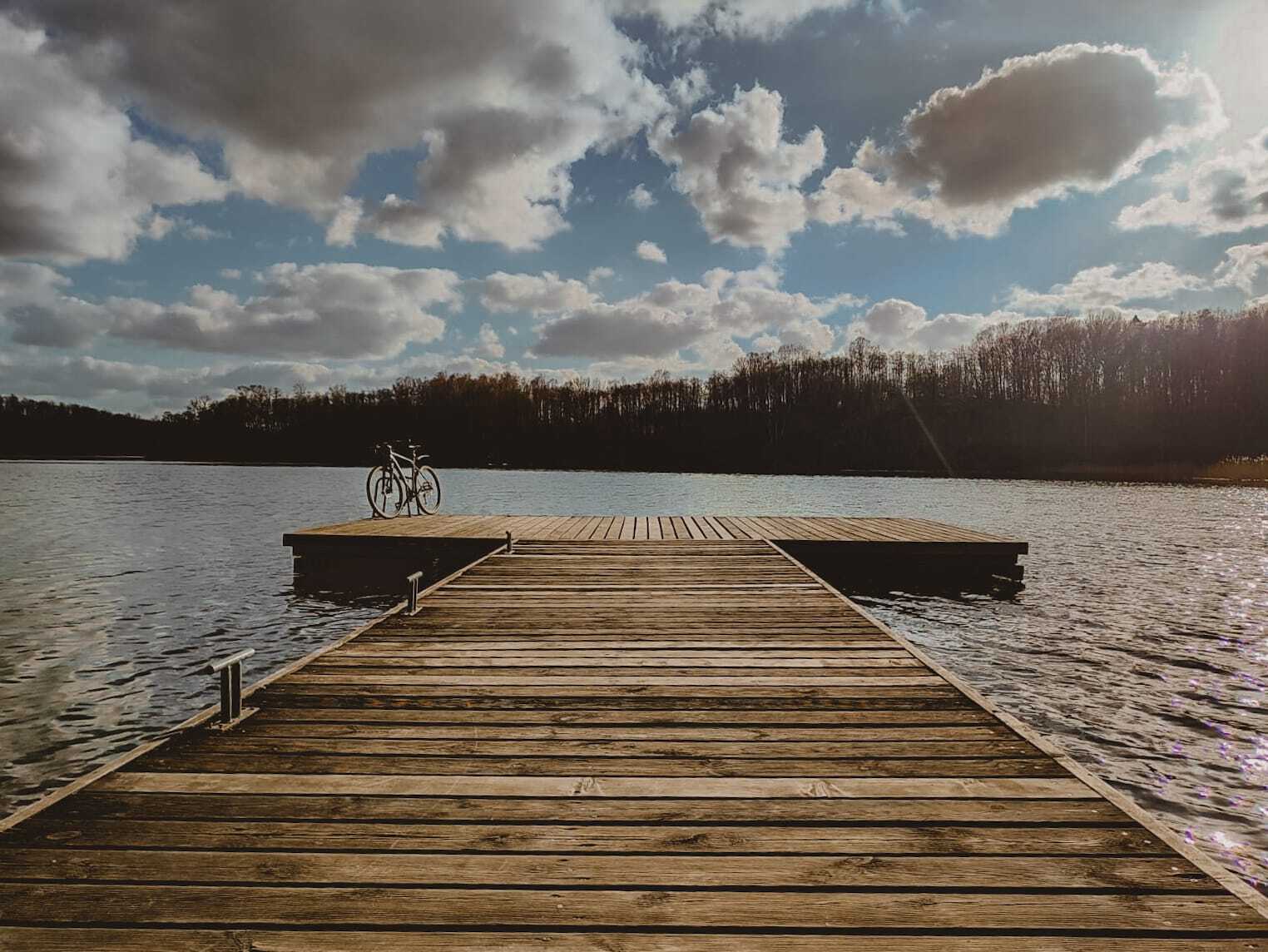 RIDE THE WILD
