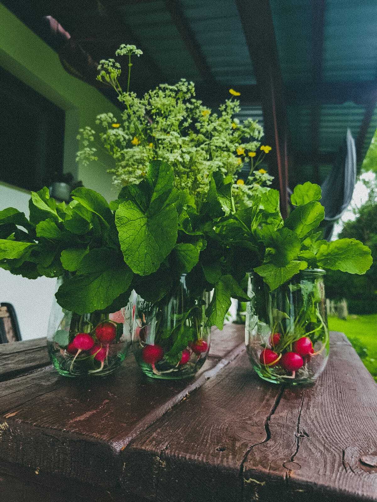 jelonki 2 wege agroturystyka pojezierze drawskie
