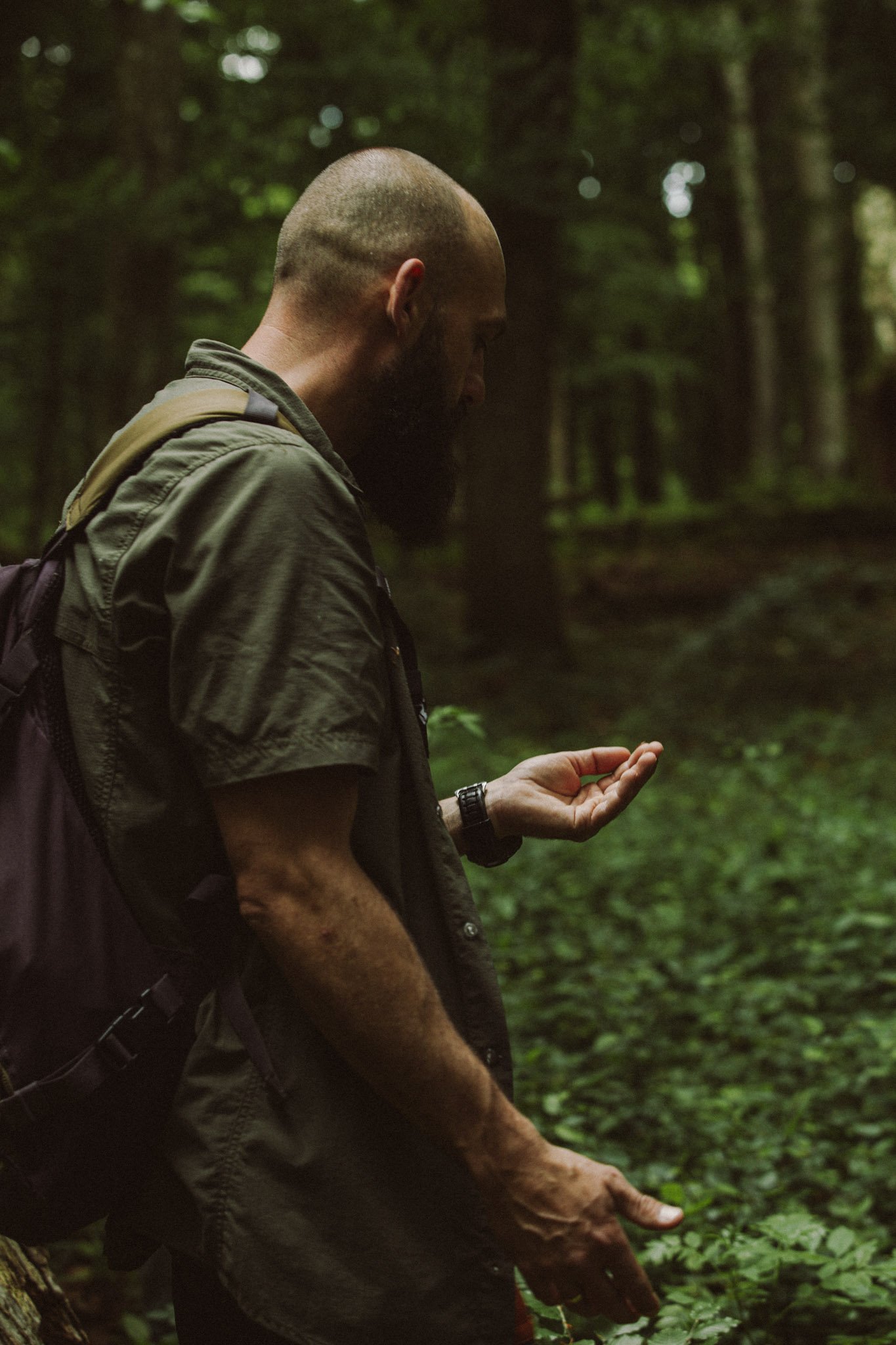 Bush Doctor / Lokalny Arborysta