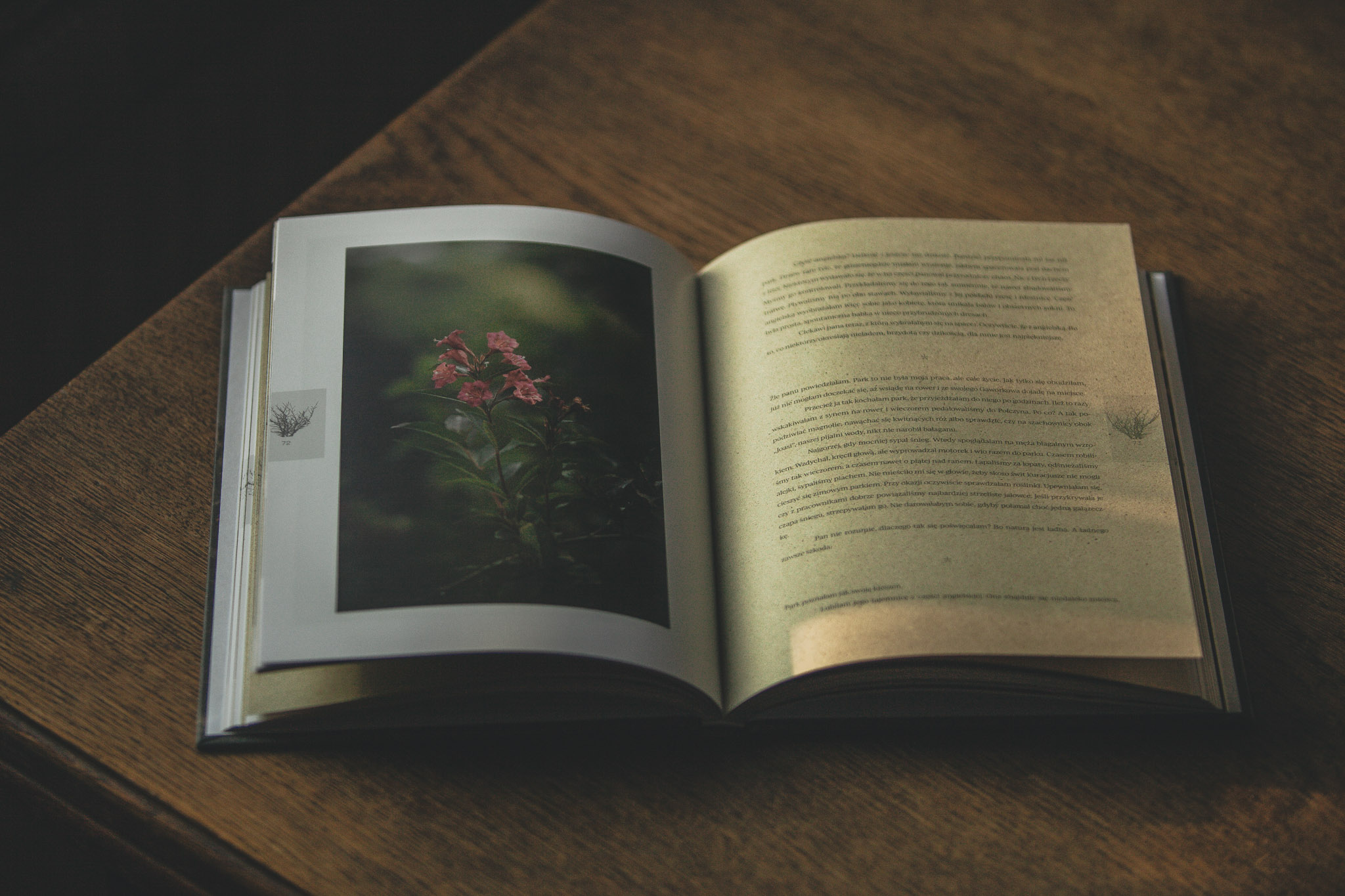 "O CZYM SZUMIĄ CHASZCZE. REPORTAŻE ZE SZWAJCARII POMORSKIEJ" TEKST: ŁUKASZ PILIP FOTOGRAFIE: ANA MCGURRAN / DZIKIE ZDROJE "O CZYM SZUMIĄ CHASZCZE. REPORTAŻE ZE SZWAJCARII POMORSKIEJ" TEKST: ŁUKASZ PILIP FOTOGRAFIE: ANA MCGURRAN / DZIKIE ZDROJE